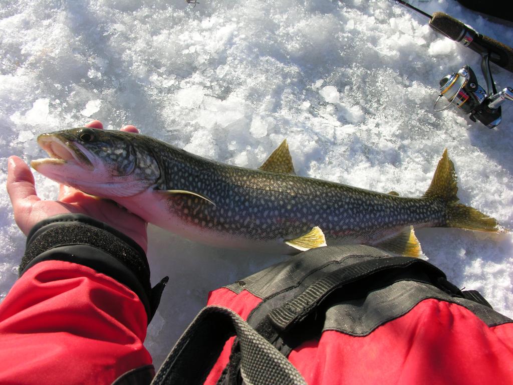 DSCN2863 Burbot blast