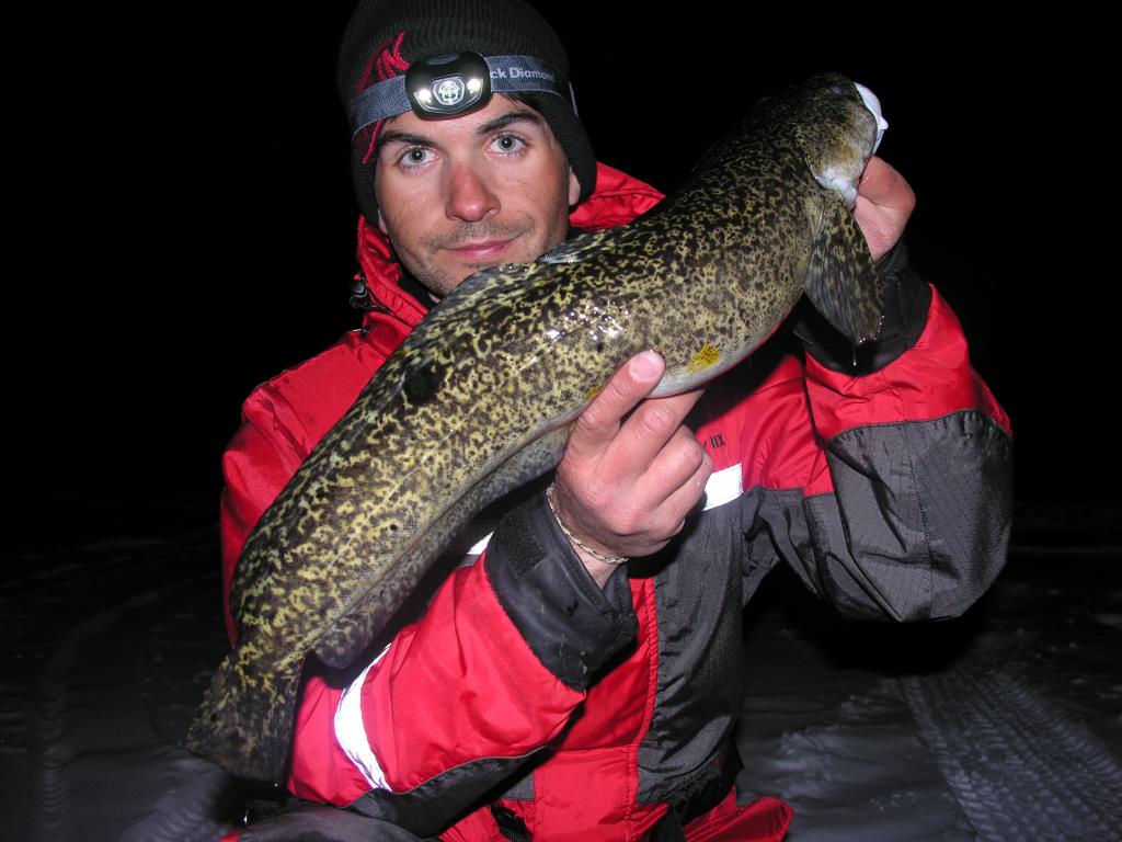 How to Set Line for Burbot 