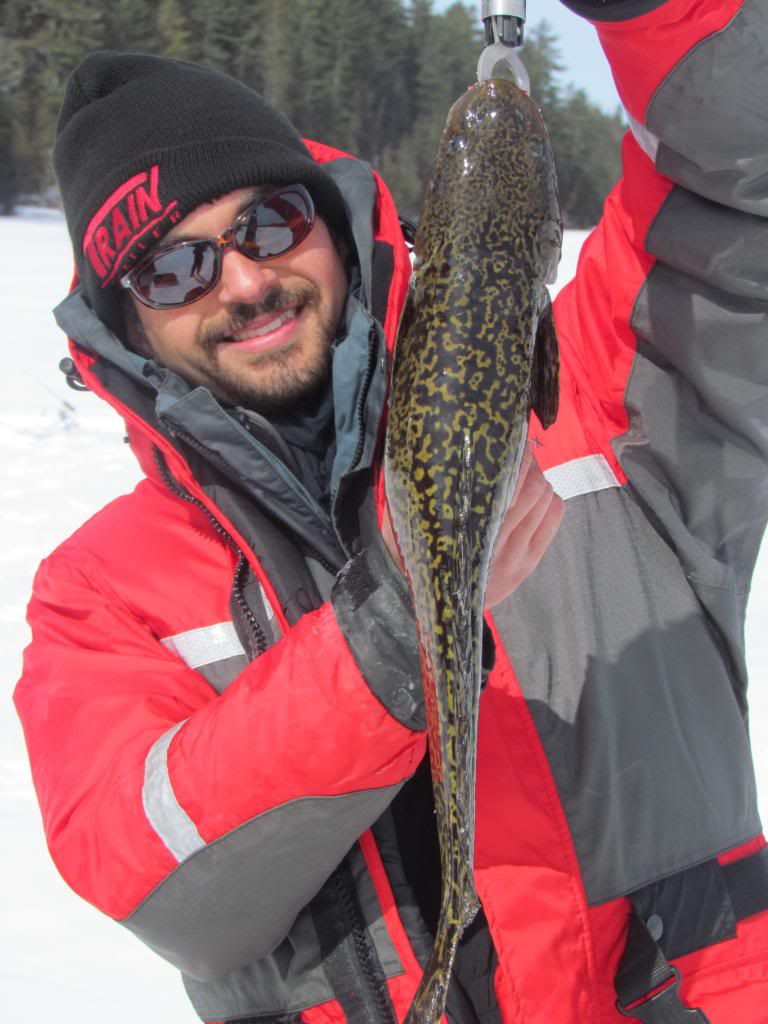 IMG 2965 Burbot blast