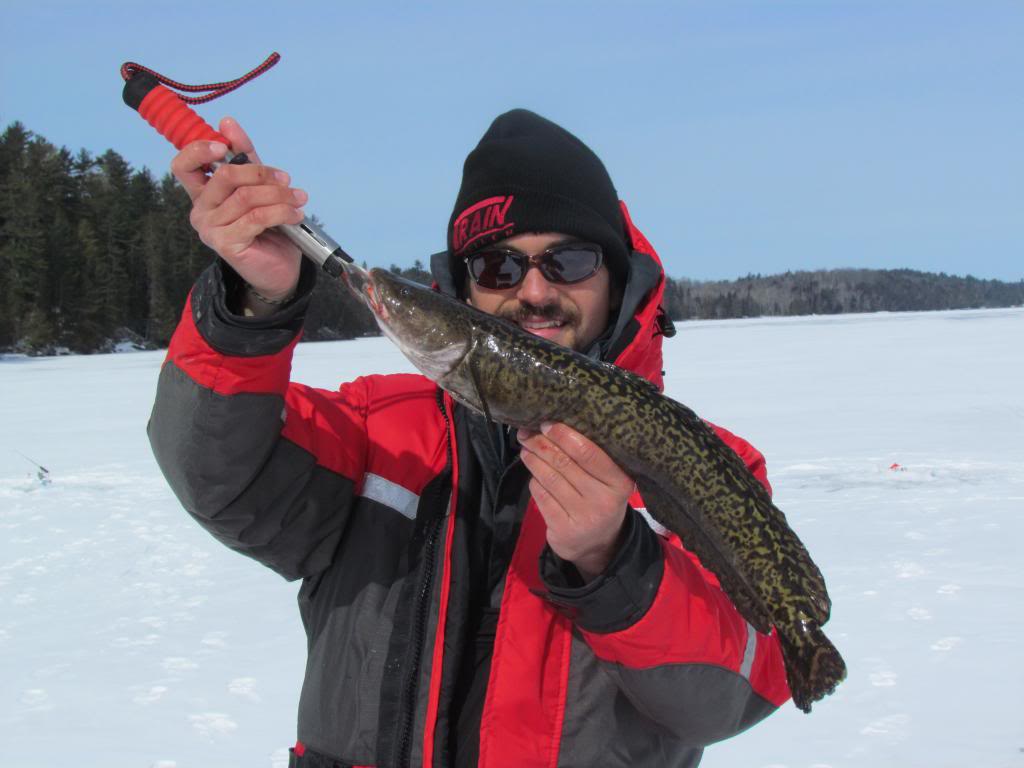 IMG 2968 Burbot blast