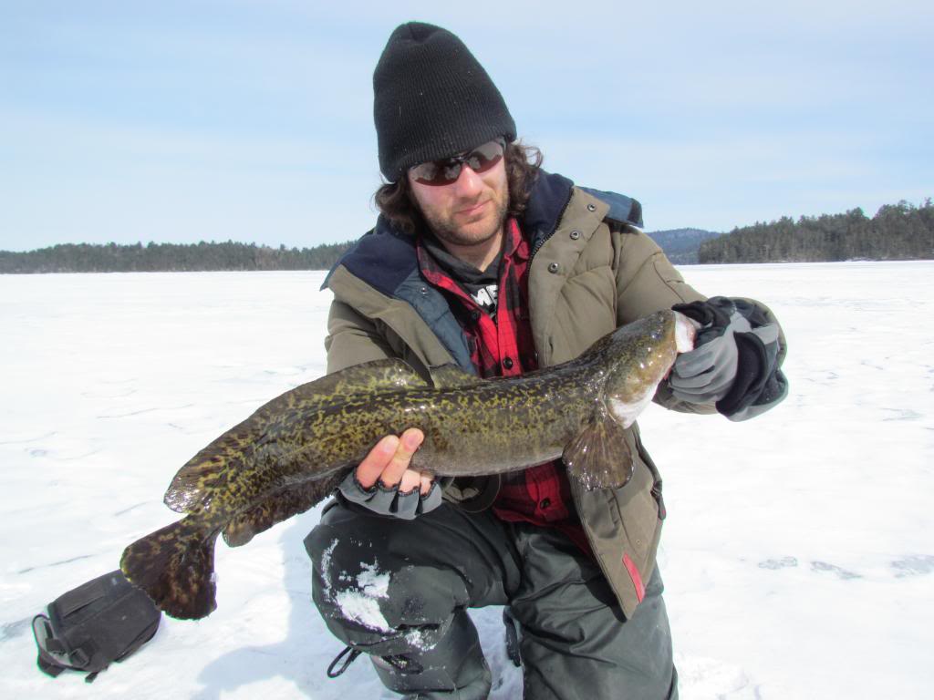 IMG 2984 Burbot blast