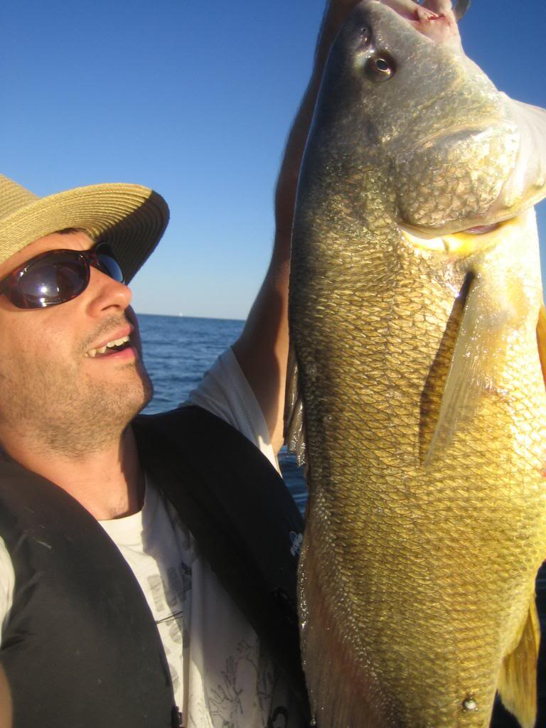 IMG 3607 Fun with Torontonian Freshwater Drum