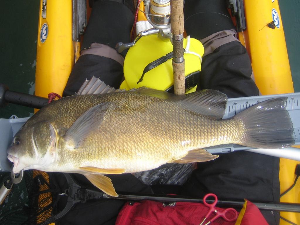 IMG 7623 Spring kayak fishing on Lake Ontario