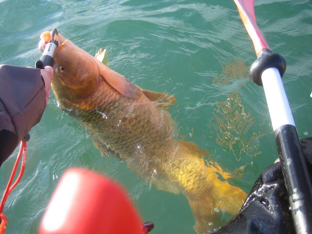 IMG 7665 Spring kayak fishing on Lake Ontario