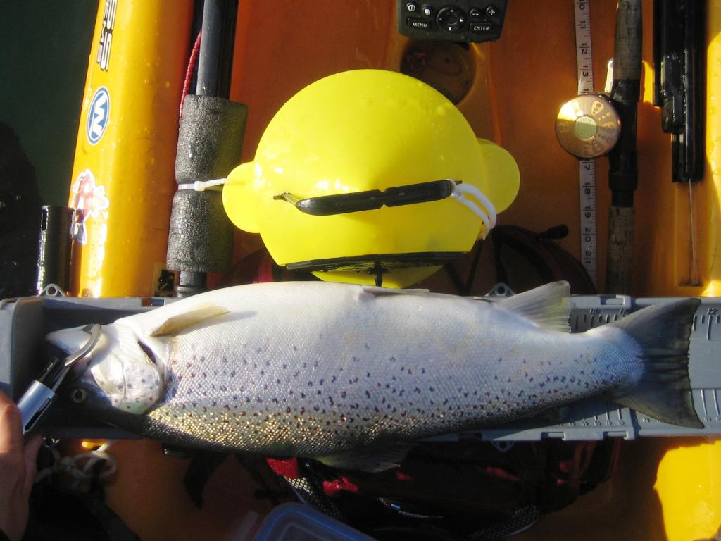 IMG 7731 Spring kayak fishing on Lake Ontario