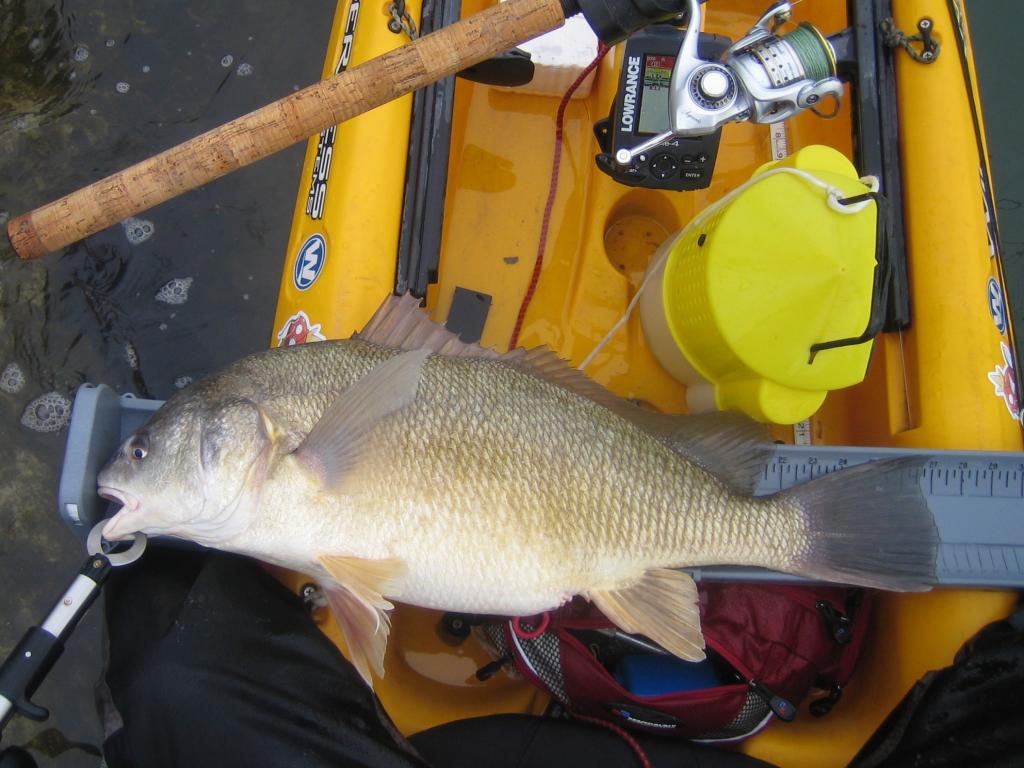 IMG 7795 Spring kayak fishing on Lake Ontario