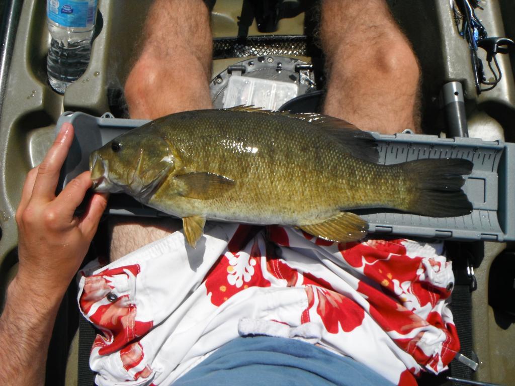 DSCF5930 Big river post spawn smallmouth