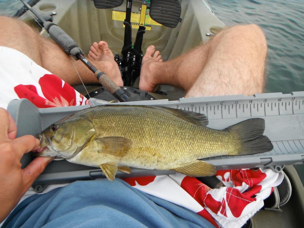 DSCF5937 Big river post spawn smallmouth