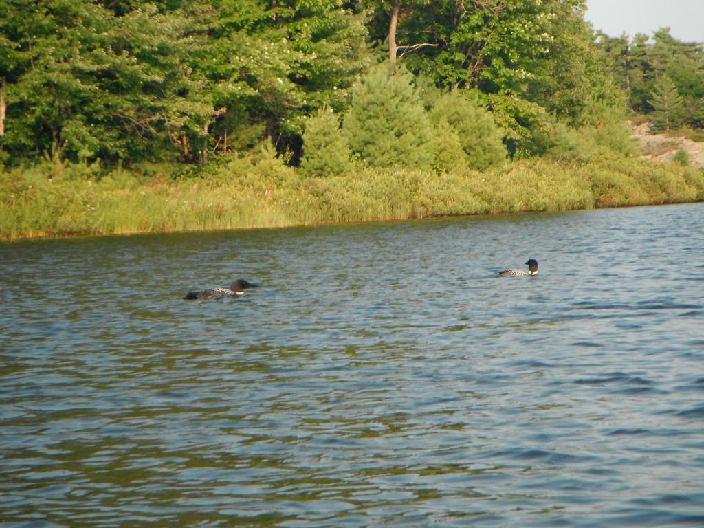 DSCF6565 Some alone time on Georgian Bay