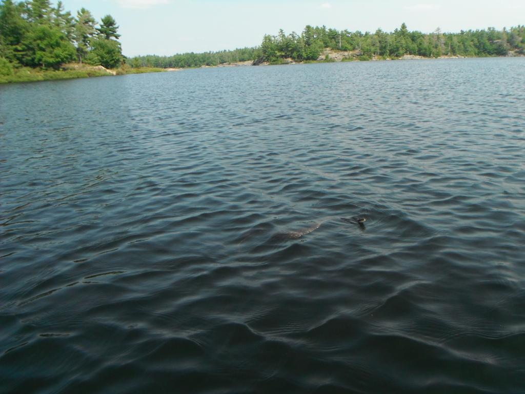 DSCF6605 Some alone time on Georgian Bay