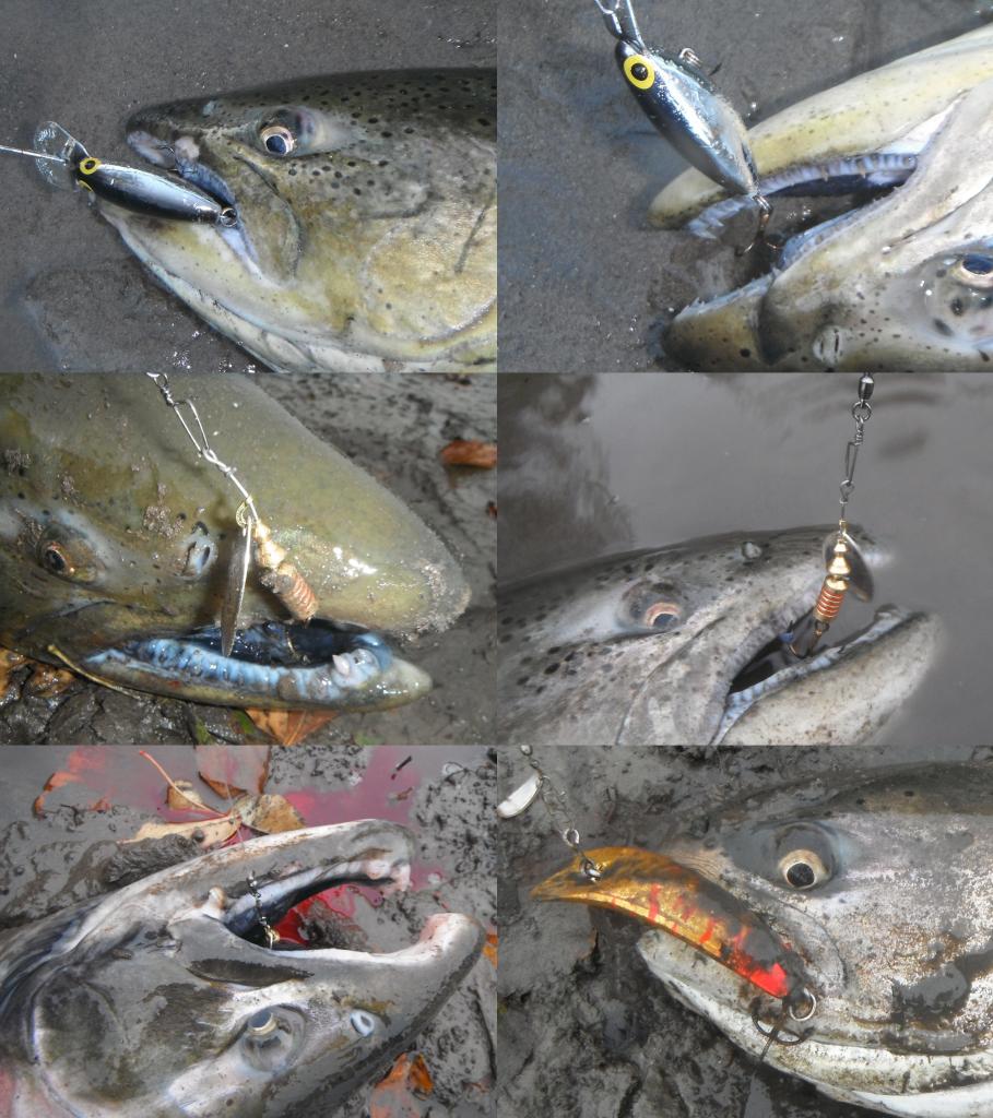 Lures For Salmon In Rivers: Over 5,285 Royalty-Free Licensable