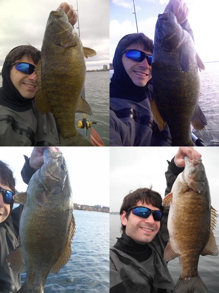 smallies 768x1024 Some fall time fishing