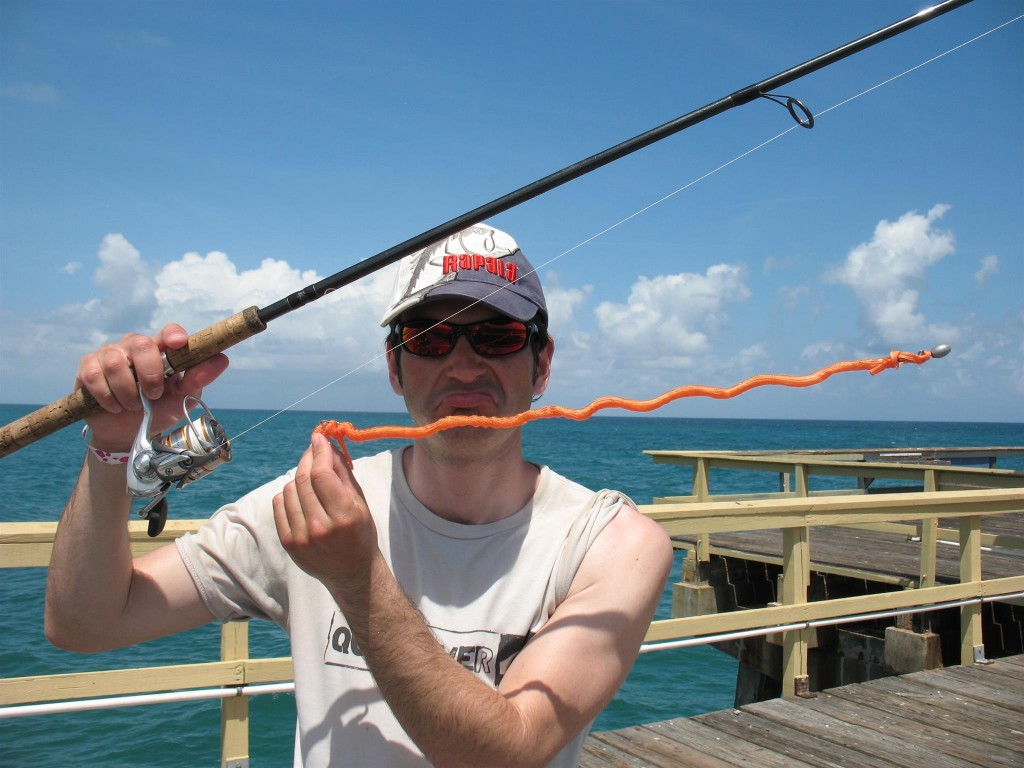 IMG 3861 1024x768 Florida, Trailer Park Boys, and Parrotfish