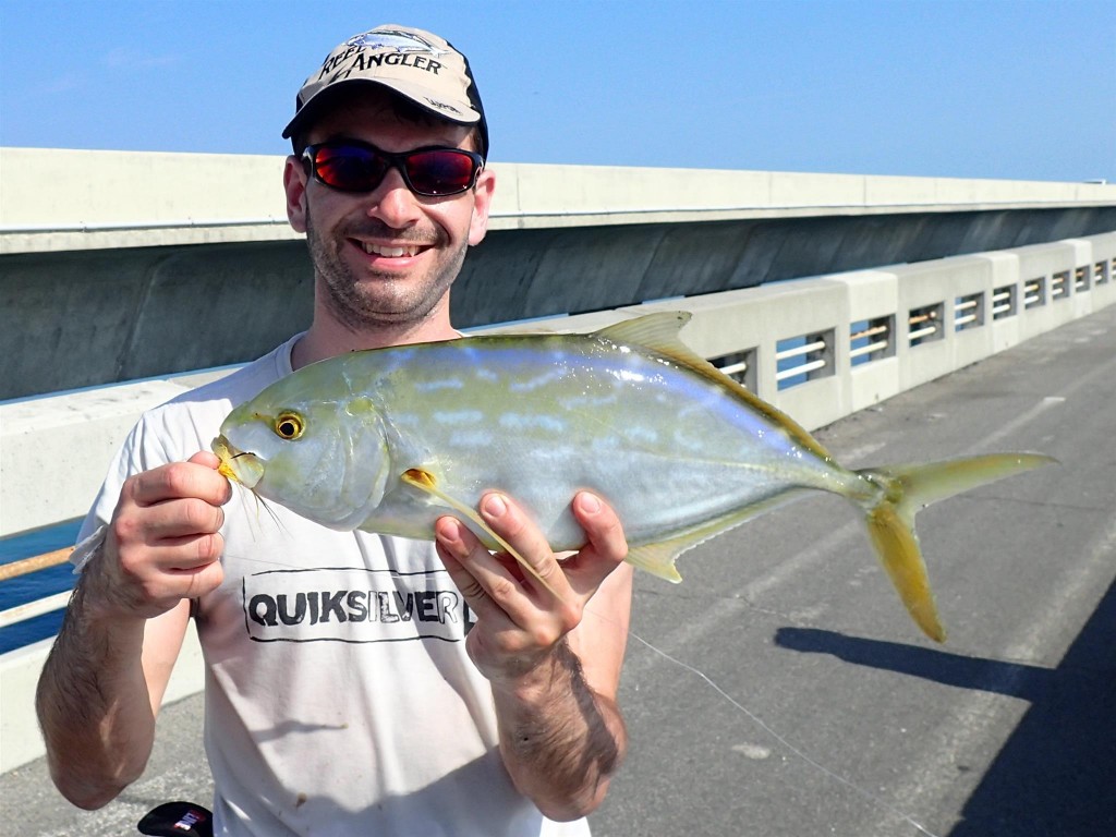 P1091291 1024x768 What I owe to the tarpon