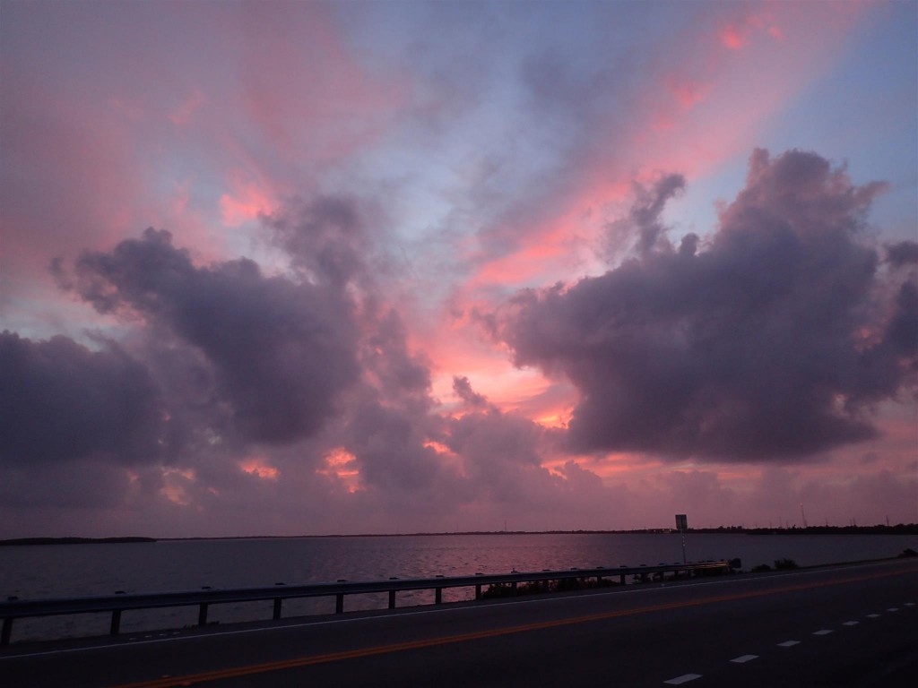 PC230819 1024x768 Bumbling through Florida