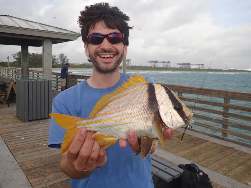 PC250928 1024x768 Bumbling through Florida