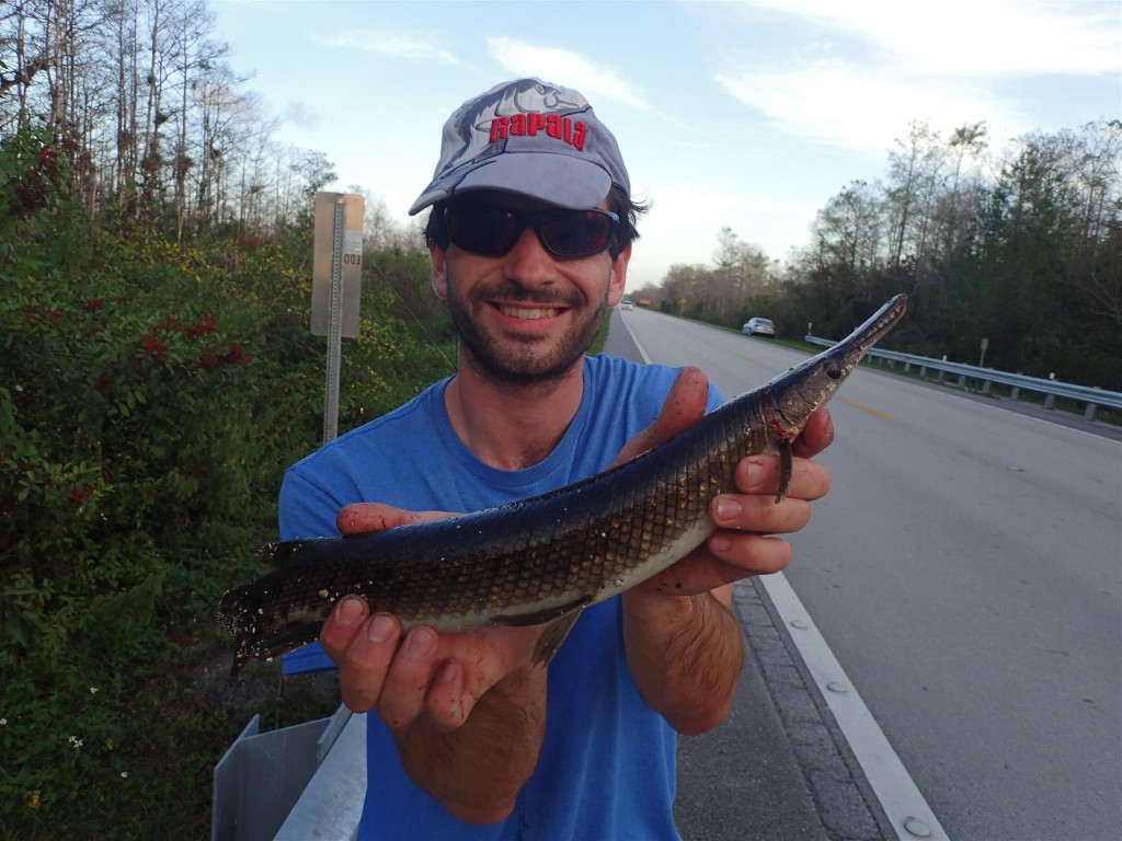 PC250970 1024x768 Bumbling through Florida