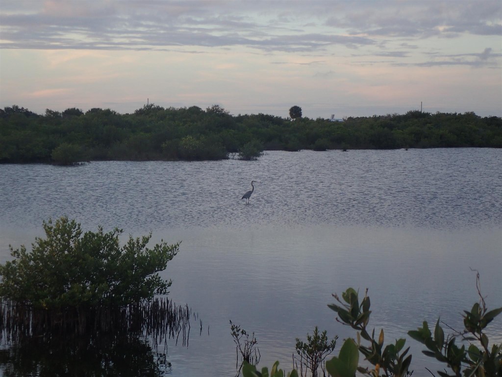 PC271108 1024x768 Bumbling through Florida