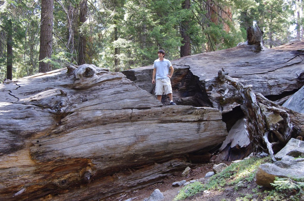 1 64 1024x680 Family trip to California