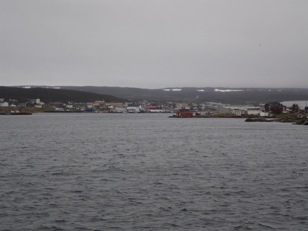 P6170422 1024x768 The twists and turns of Newfoundland