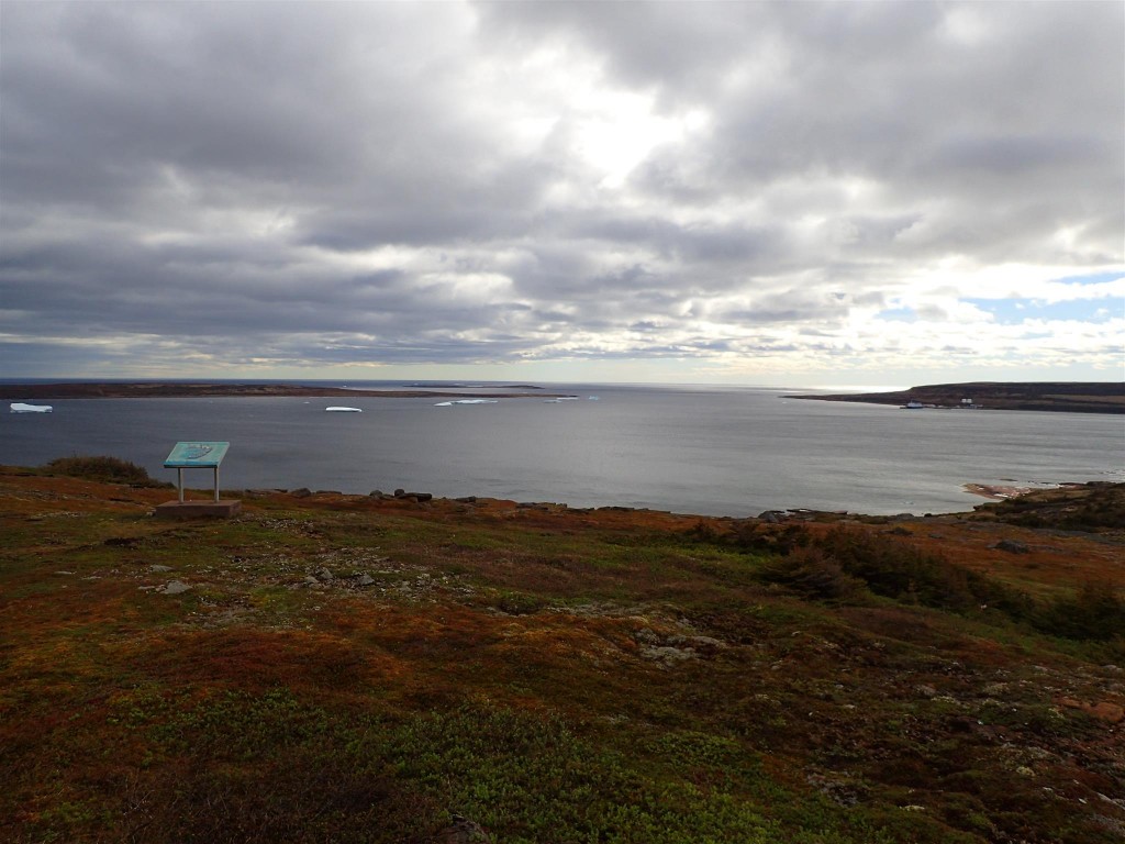 P6170527 1024x768 The twists and turns of Newfoundland