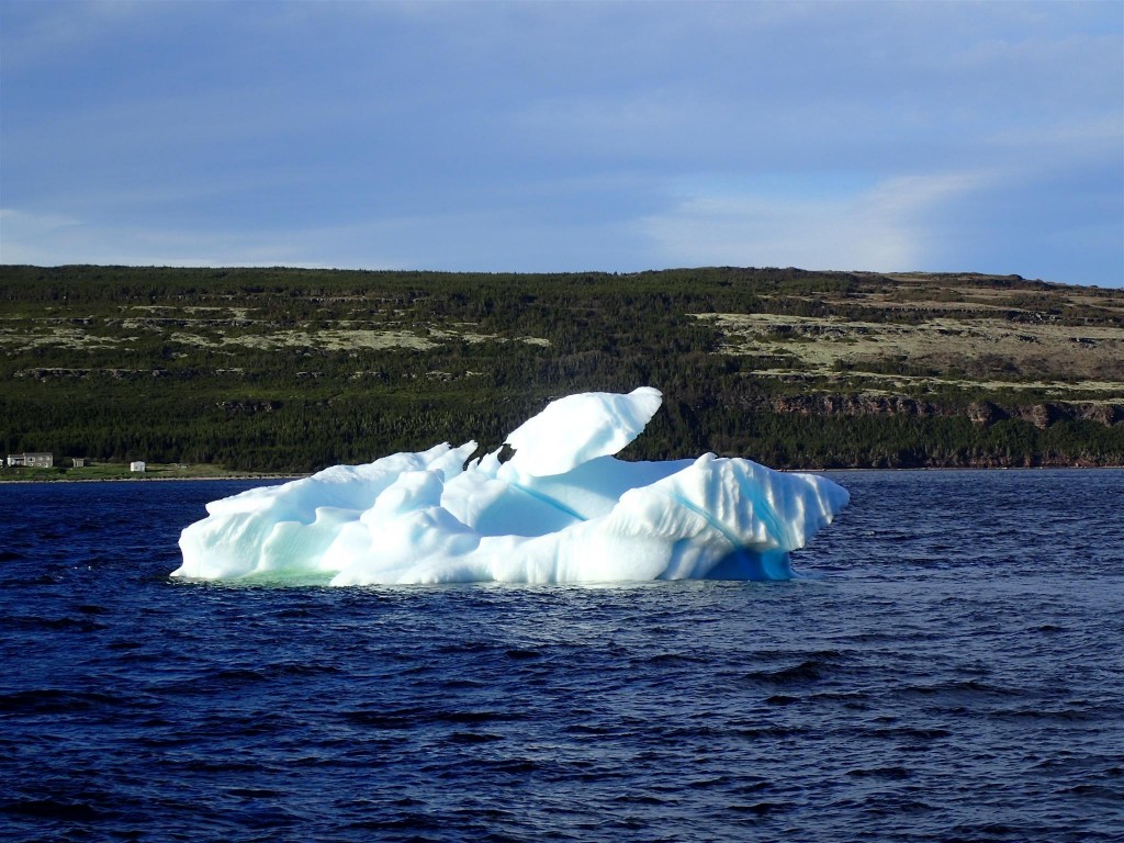 P6170556 1024x768 The twists and turns of Newfoundland